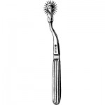 Wartenberg Pinwheel