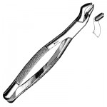 Extracting Forceps #53L