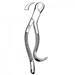 Lower First and Second Molar Extracting forceps #16, Hook Handle, Horn Beak
