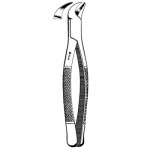 Extracting Forceps #23