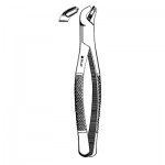 Extracting forceps #17