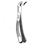 Incisor Bicuspid Root Extracting forceps #151, Lower