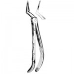 GH Extracting Forceps #GH79
