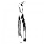 Splitting and Seperating Extracting forceps #6