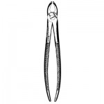 Mead Universal Upper Extracting Forceps #MD1, Central Lateral Cuspid Bicuspid