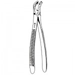 Lower Wisdom Extracting forceps #79E, English Pattern