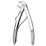 Children's Lower Molar Universal Extracting Forceps #C