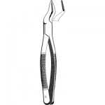 Extracting Forceps #65
