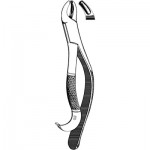 Extracting Forceps #24