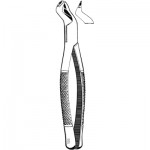 Extracting Forceps #88L