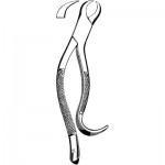 Extracting Forceps #16