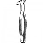 Extracting Forceps #23