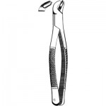 Extracting Forceps #17
