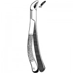 Extracting Forceps #151 Lower Universal