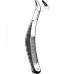 Extracting Forceps #62 Upper or Lower Universal