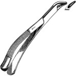 Extracting Forceps #151S Child Lower Universal