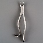 Merit Upper First and Second Molar Extracting Forceps