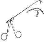Heuwieser Forceps Curved Left