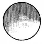 Laryngeal Mirror #4, without Handle
