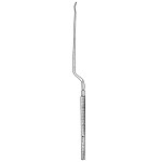Nicola Raspatory, Slightly Curved Tip, 8-1/4