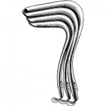 Vaginal Retractor, Large 3-1/2