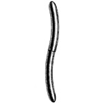 Hegar Uterine Dilator Double Ended, 19mm / 20mm