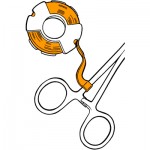 Orange, 300