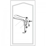 Econo Sterile Graves Vaginal Speculum Large - Case of 25